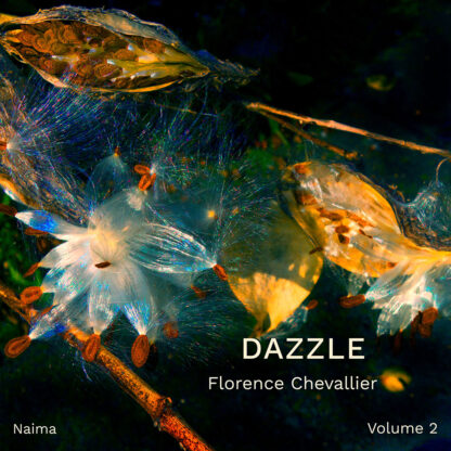 Florence Chevallier, Dazzle (volume 2)