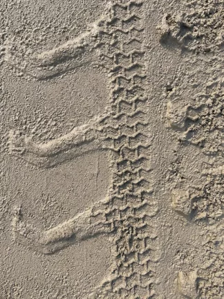 teaser Marta Ravasi's exhibition at La Centrale