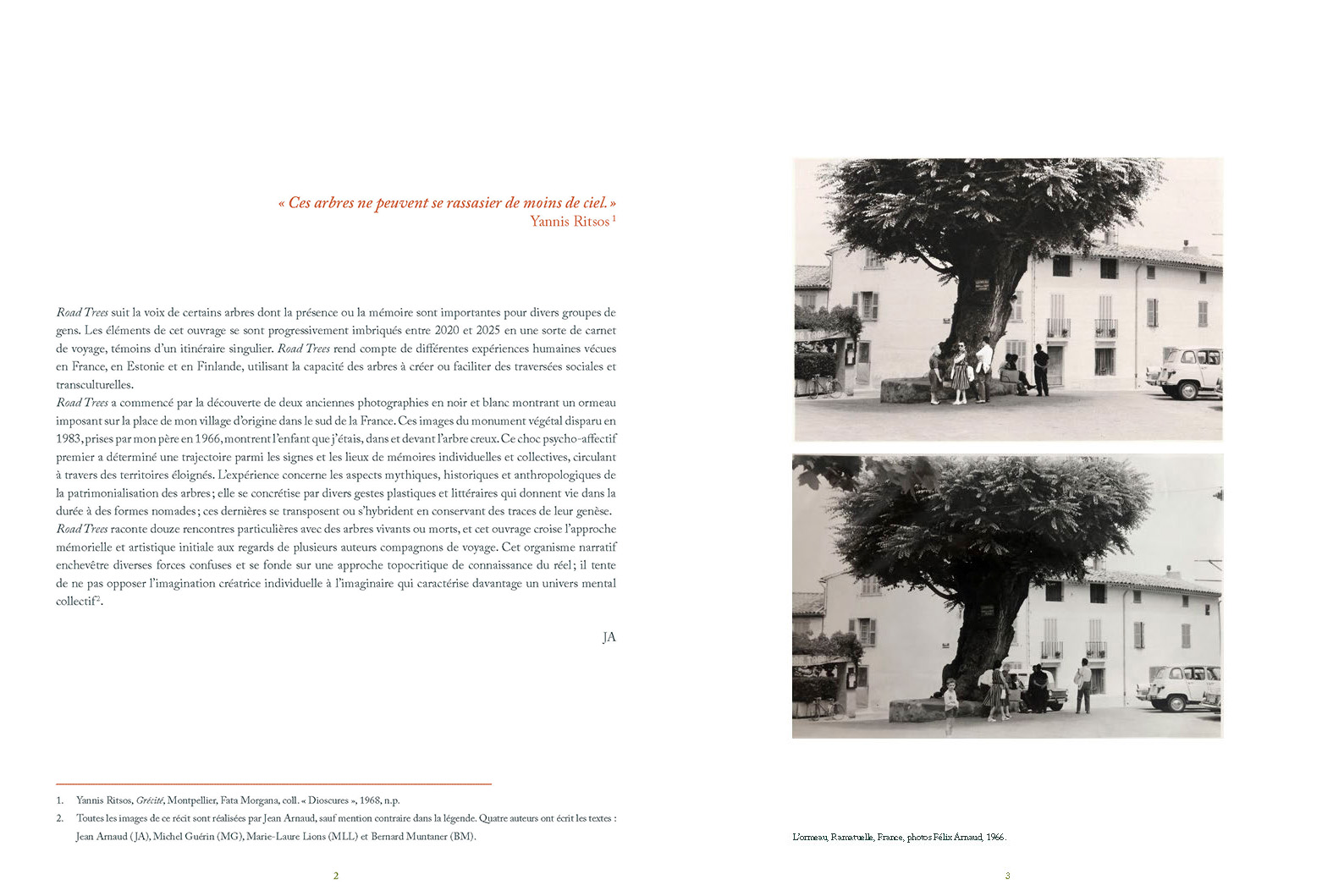 Road Trees - Image 3