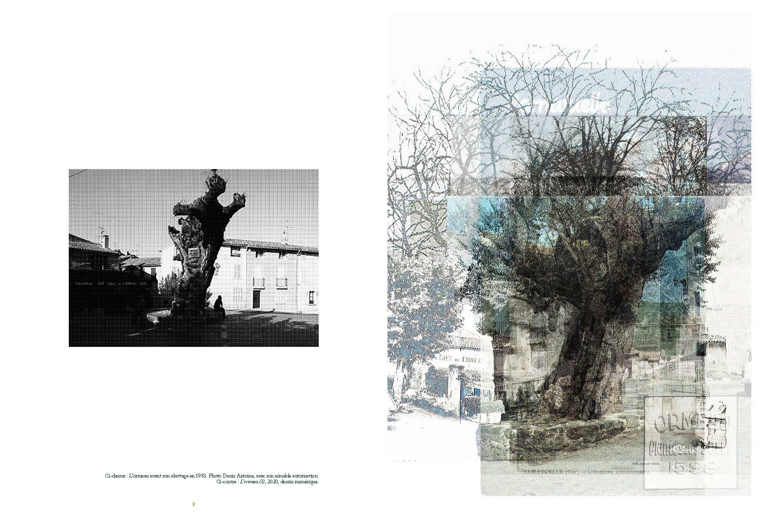 Road Trees - Image 6