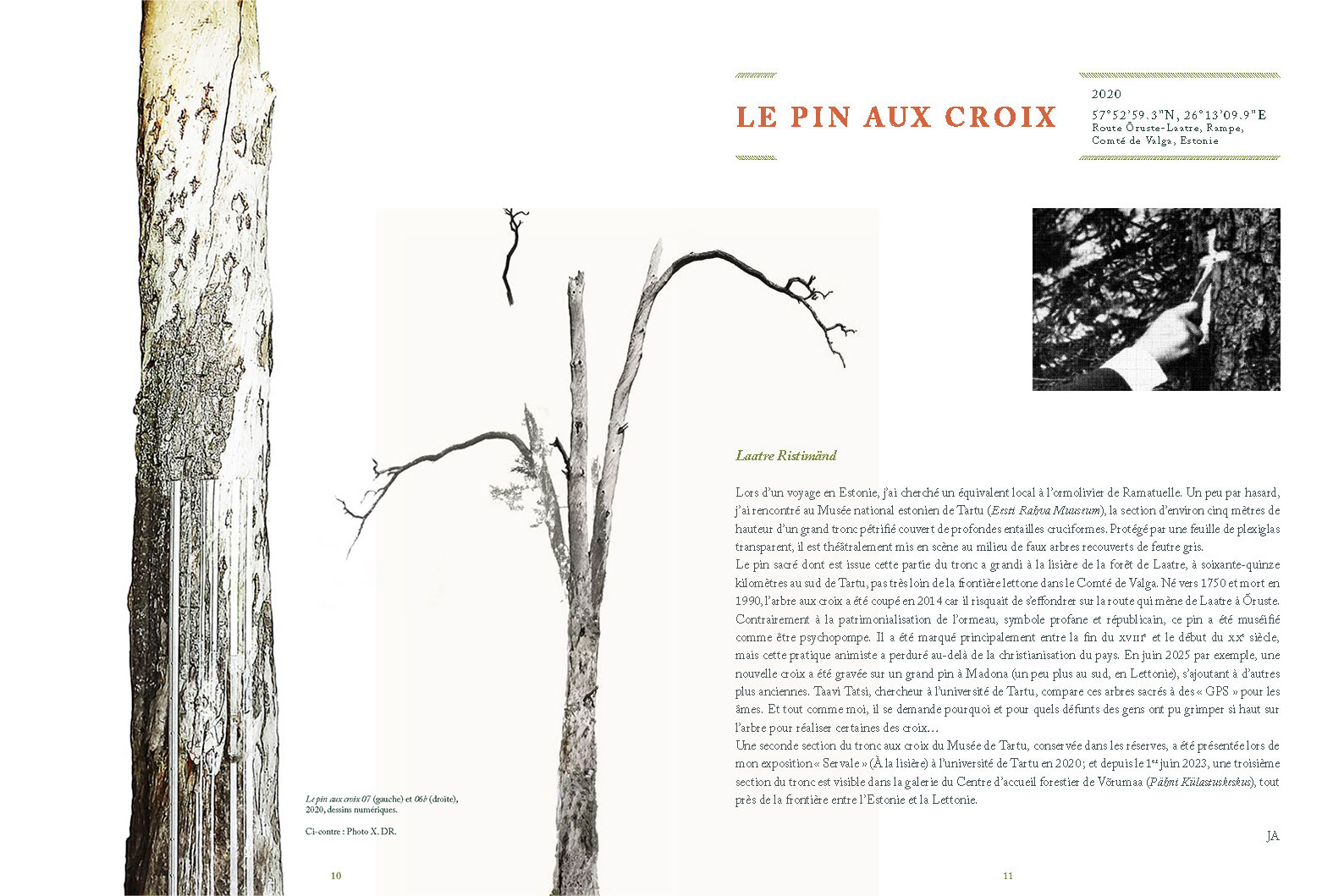 Road Trees - Image 7