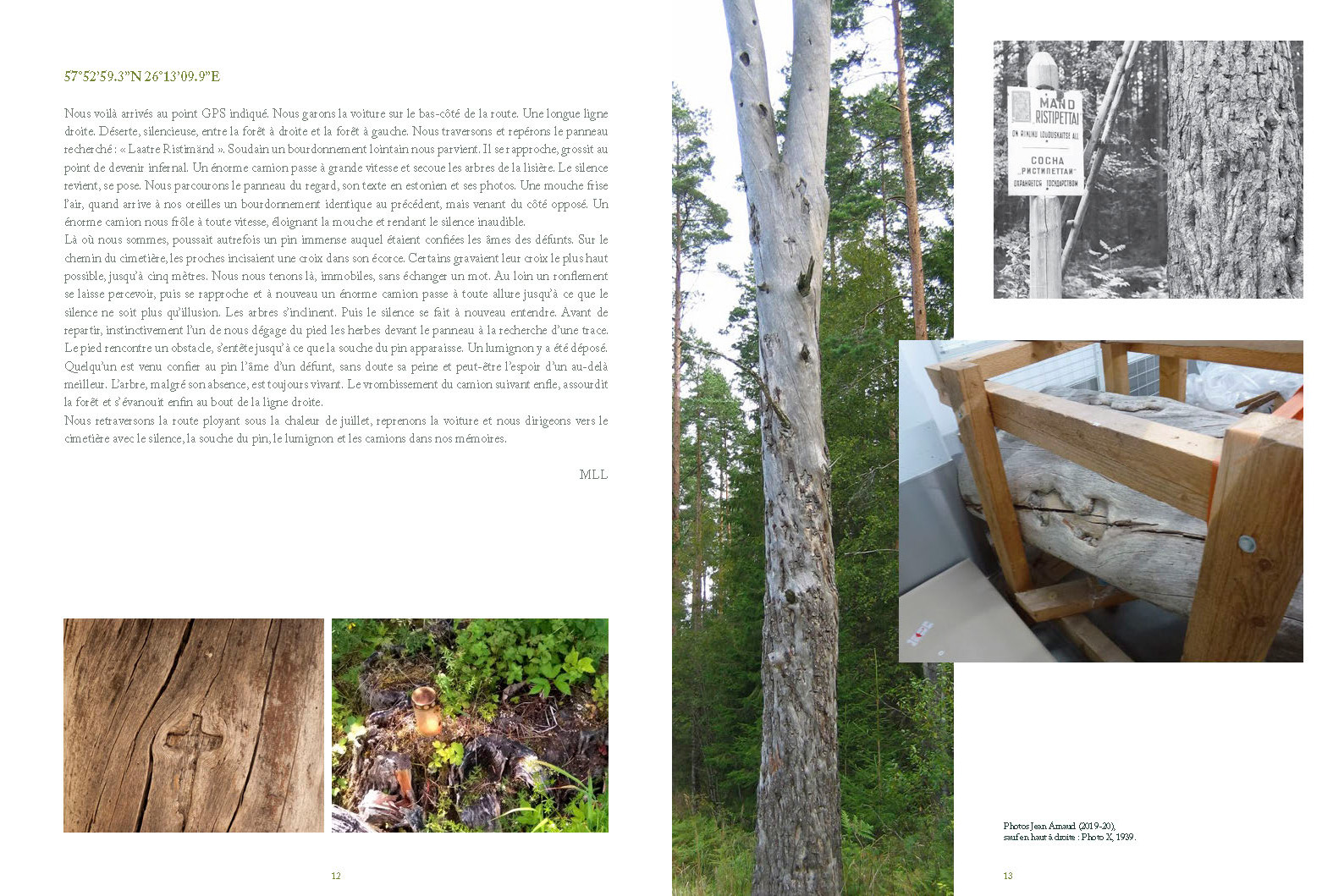 Road Trees - Image 8