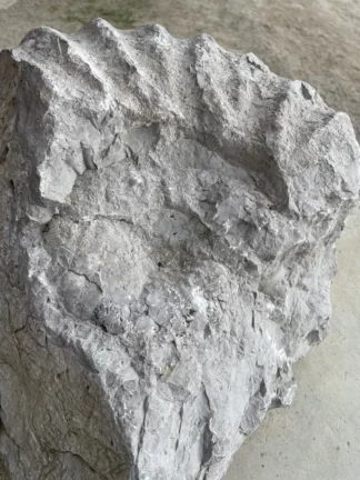 Teaser image for Javier Carro Temboury' s exhibition at La Centrale