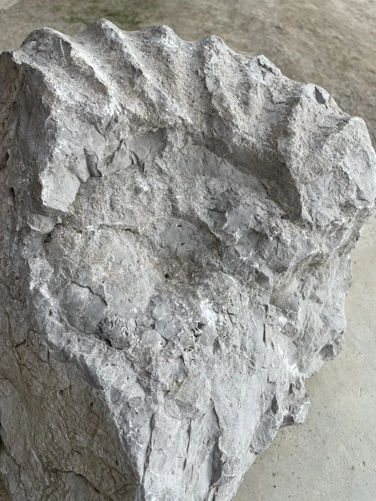 Teaser image for Javier Carro Temboury' s exhibition at La Centrale